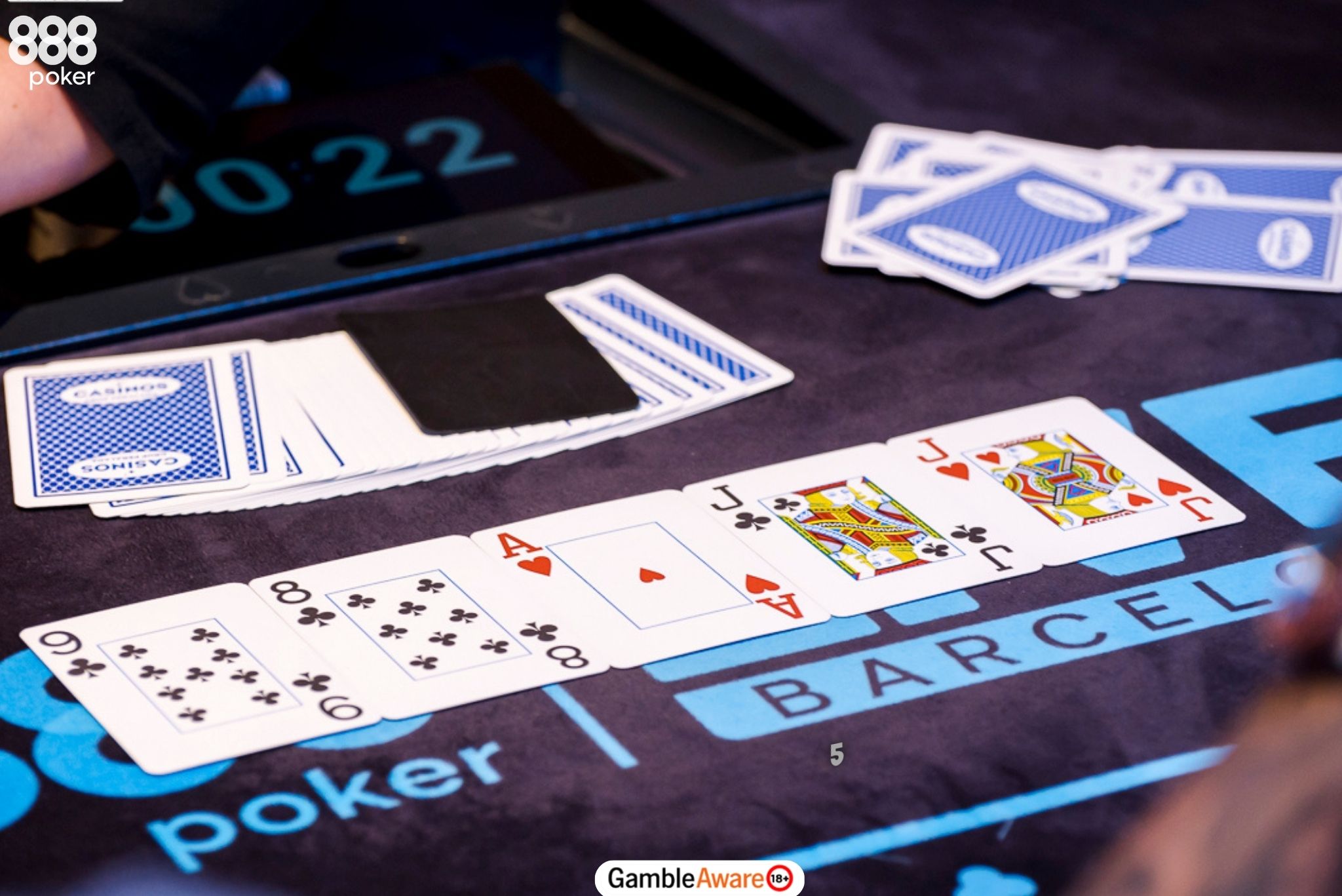 Variables Affecting Bluff Frequency